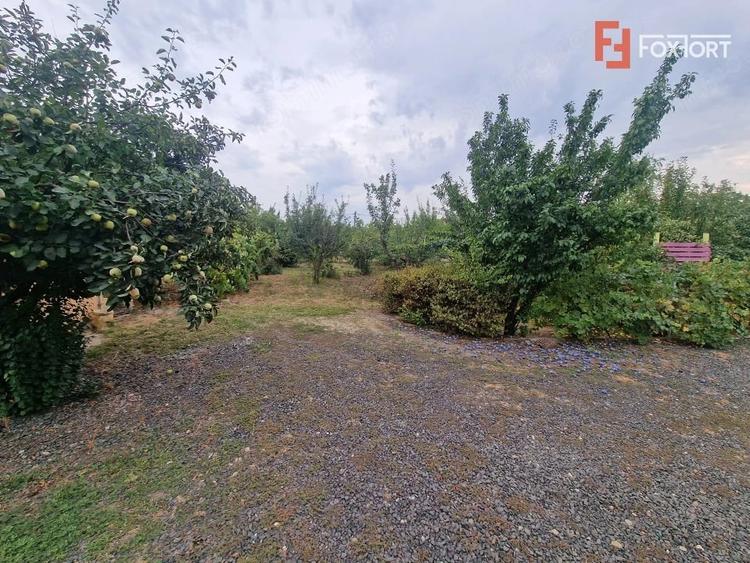Casă cu 7 camere cu Teren 1500 Mp în Bazoș
