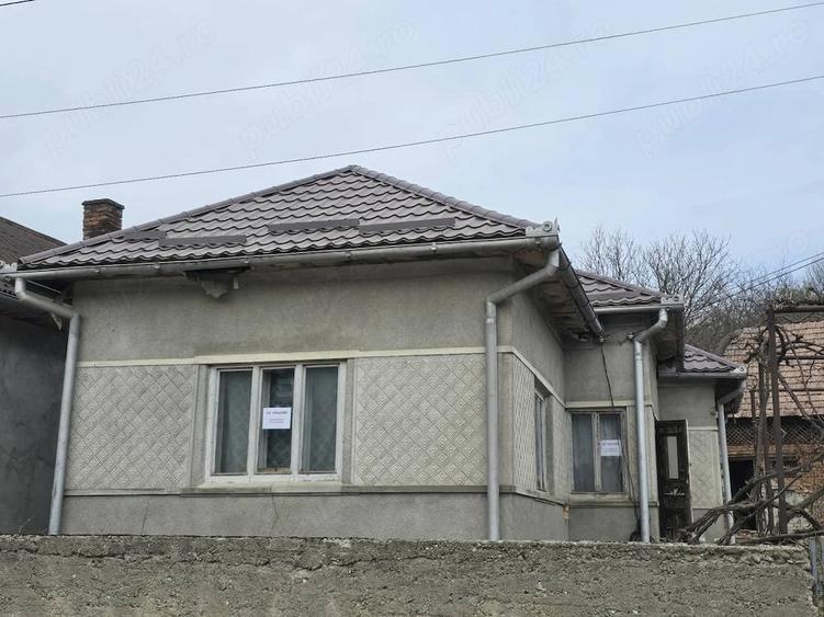 Vand Casa Pamant Padure - 4