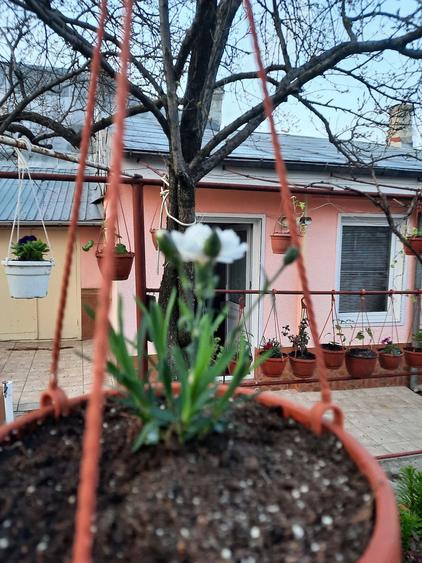 Casă cu 2 camere cu Teren 437 Mp în Mazepa 2