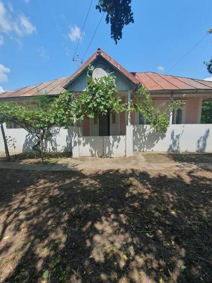 Casă individuală cu 2 camere cu Teren 2400 Mp în Broscăuți