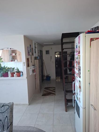 Apartament cu 3 camere decomandat în Viișoara