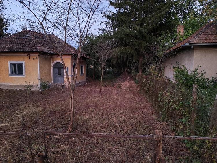 Teren de 5000 mp, în Central