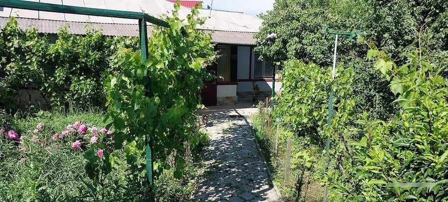 Casa langa bucuresti la sosea 1600mp zona gorneni DN6 E7 30km de pta unirii - 6