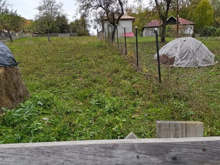 Teren de 1600 mp, în Provița de Sus