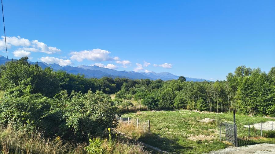 Teren Construcții intravilan de 1100 mp, în Arpașu de Jos