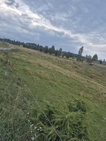 Teren de vanzare, pe Delut, Fundu Moldovei, Suceava - 2