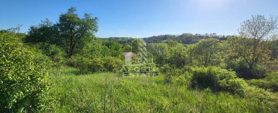 Teren intravilan, In Rate Cuied Arad - 4