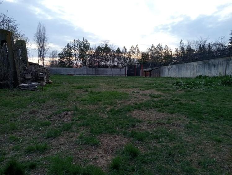 Teren intravilan de 2000 mp, în Străulești