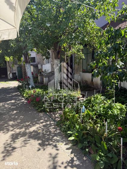 Doua case de vanzare in aceea?i curte zona Maria - 19