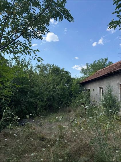 Casă cu Teren 1000 Mp în Țigănești
