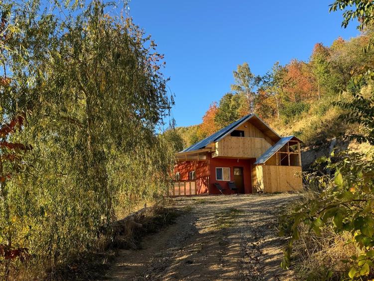 Casă individuală cu 1 camere cu Teren 4000 Mp în Muntele Rece