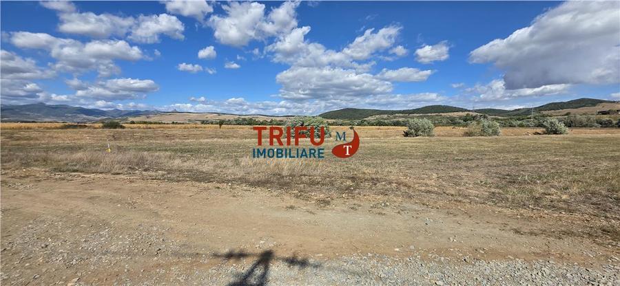 Teren agricol intravilan de 5800 mp, în Bărăbanț