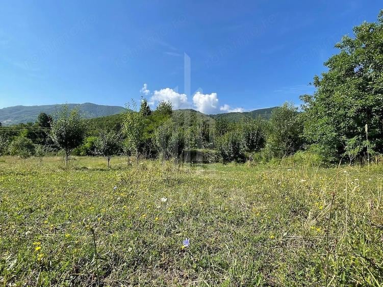Teren de 650 mp, în Sadu