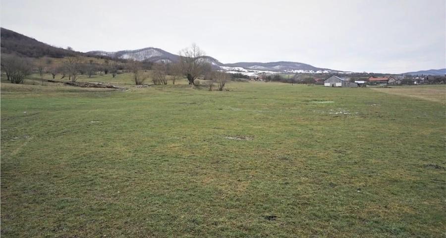 Teren agricol extravilan de 7200 mp, în Exterior Sud