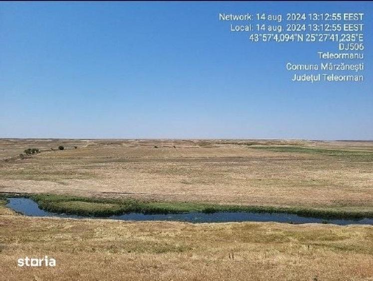 Teren de 5000 mp, în Sud