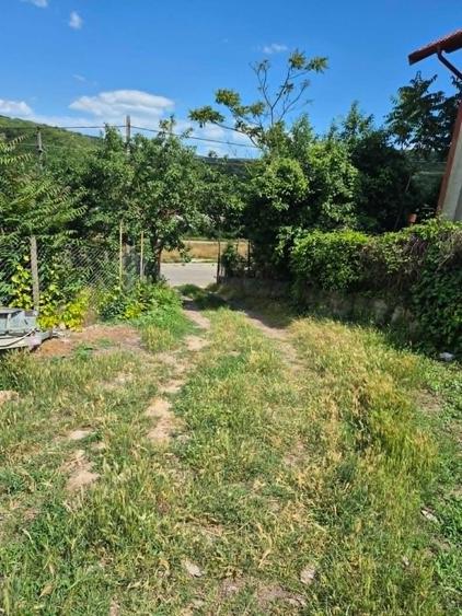 Casa batraneasca, Visterna - Tulcea, teren 2500mp - langa Babadag, Enisala - 7