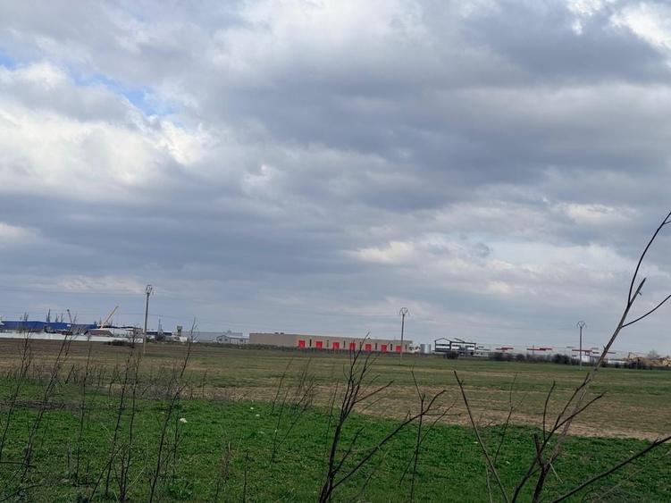 De vanzare teren extravilan industrial, Rudeni Chitila - 8