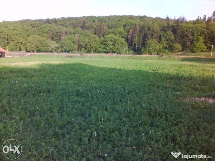 Teren 1381 mp intravilan Cristian jud Brasov - 6