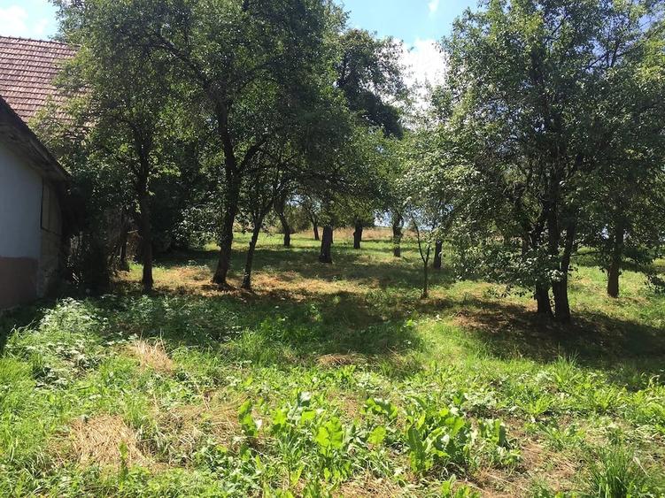 Casă cu Teren 6500 Mp în Dretea