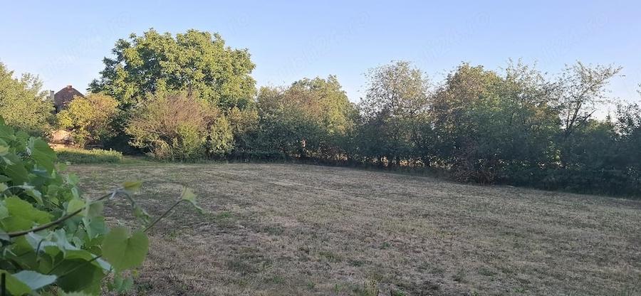Casă cu 2 camere cu Teren 50 Mp în Central