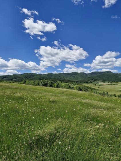 Teren de 14900 mp, în Crizbav