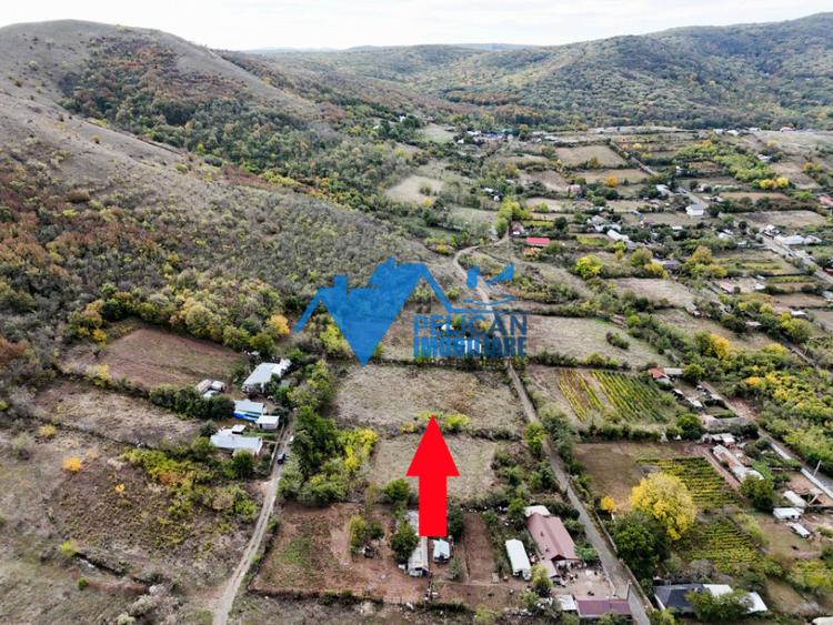 Teren intravilan NICULITEL, zona deosebita, 3044MP - 14