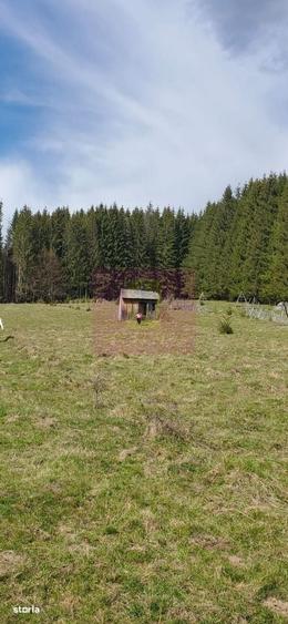 Teren intravilan 2500 mp in Valea Doftanei - 1