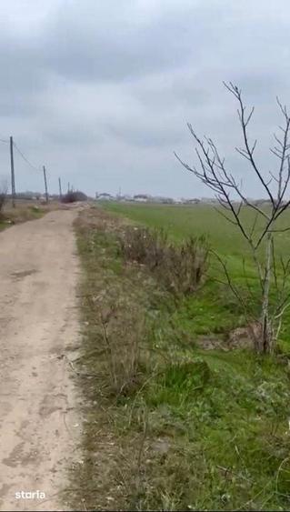 Teren de 13630 mp, în Dragomirești-Vale
