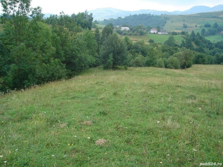 Teren de 25500 mp, în Vișagu