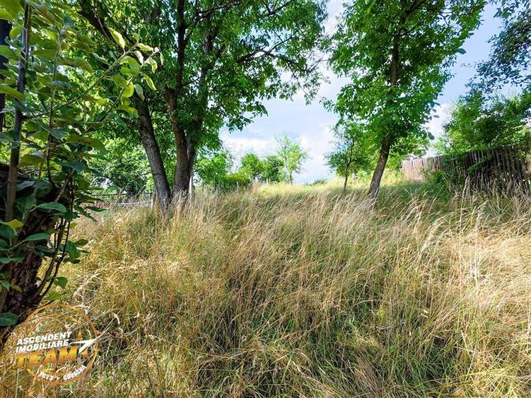 Casă individuală cu 2 camere cu Teren 1732 Mp în Arcuș