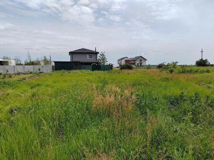 Teren de 538 mp, în Balotești