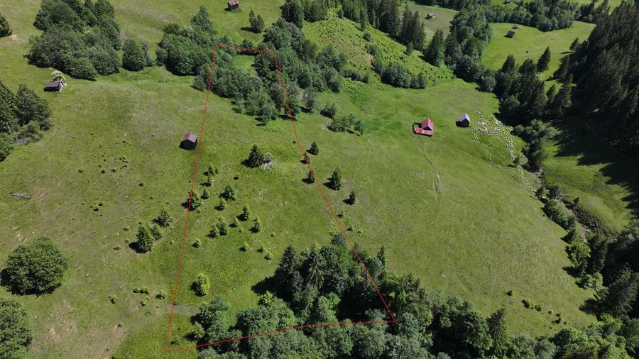 Teren extravilan 11.752 mp Zona Deia Priveliste superba Campulung Moldovenesc - 5