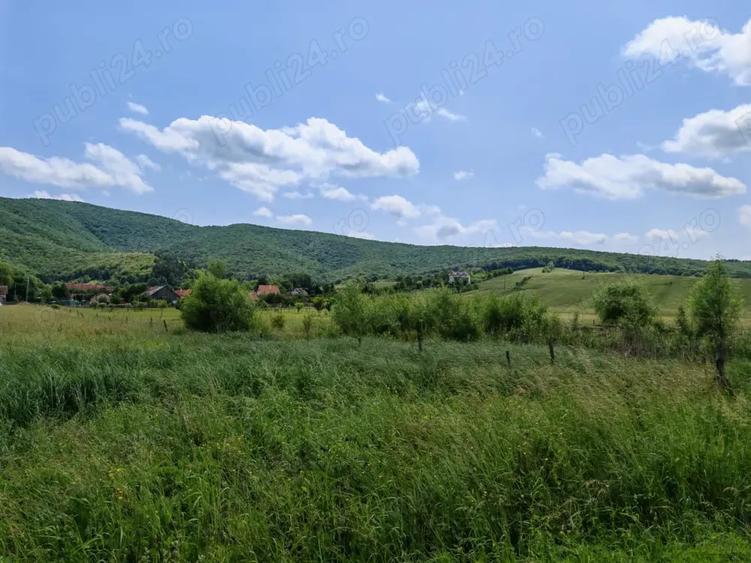 Teren de 7800 mp, în Dobârlău