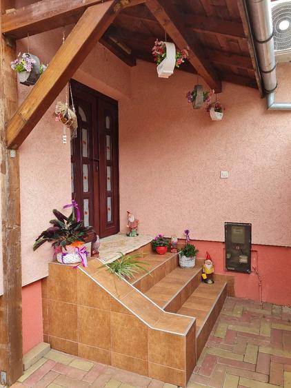 Casă cu 4 camere cu Teren 3000 Mp în Ghioroc