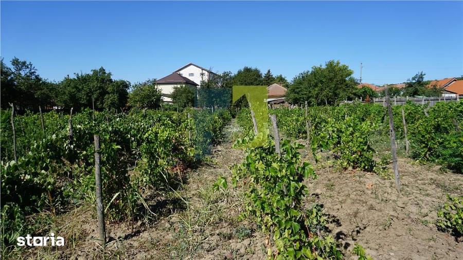 Teren de 3393 mp, în Podari