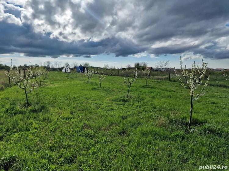 Teren de 2163 mp, în Urseni