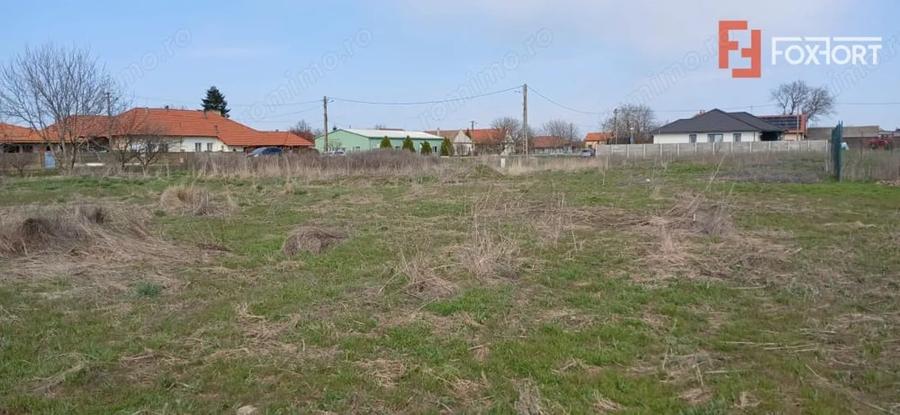 Teren de 798 mp, în Peciu Nou