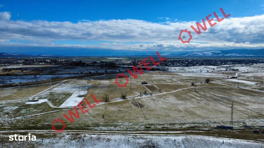 Teren de 19600 mp, în Central
