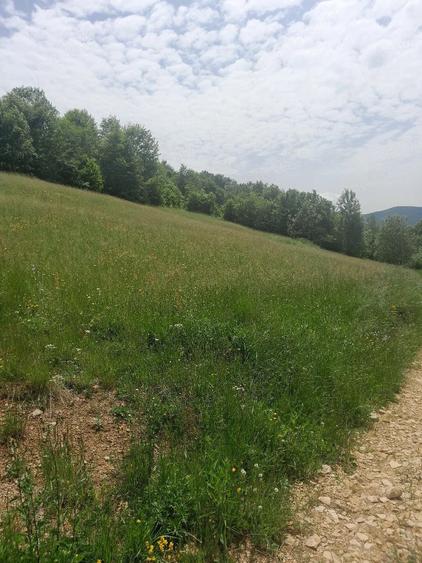Teren de 10000 mp, în Avram Iancu