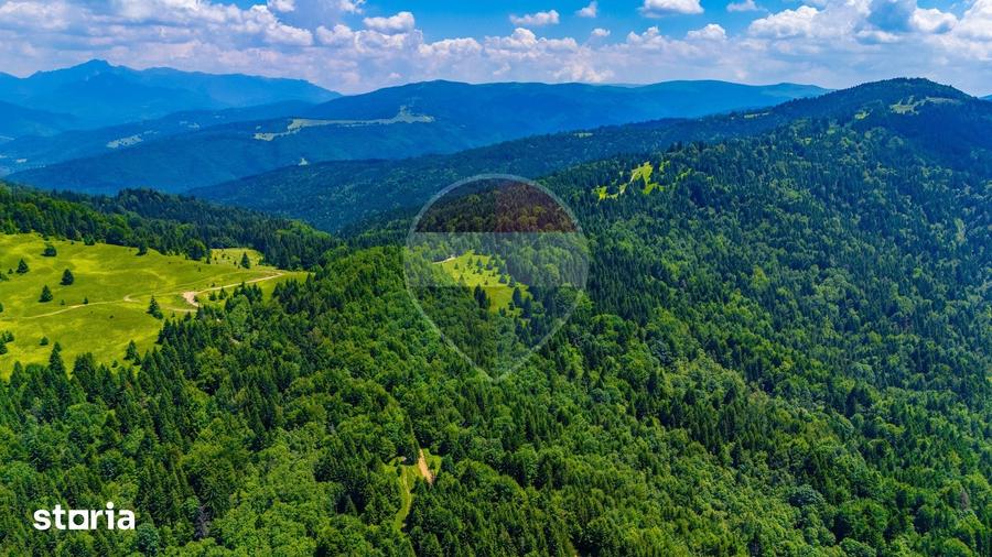 Teren de 7000 mp, în Gârcini