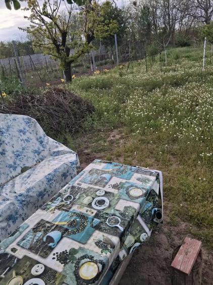 Teren de vanzare, comuna 1 Decembrie jude?ul Ilfov - 5