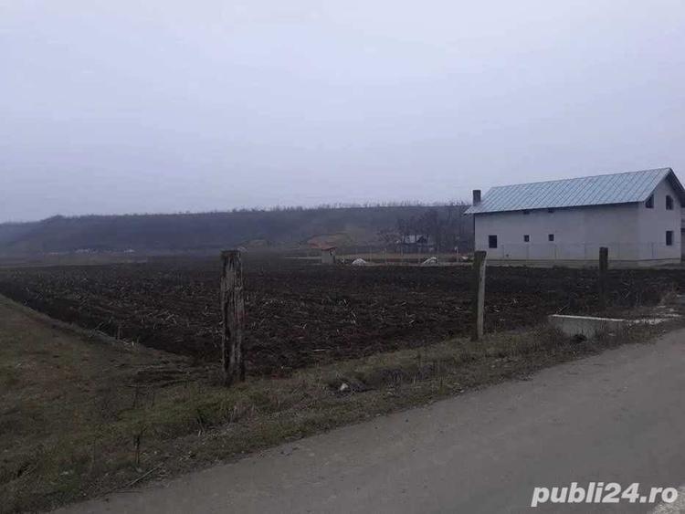 Teren de 2000 mp, în Bora
