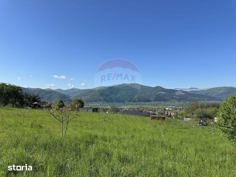 Teren de 1000 mp, în Alexandru cel Bun