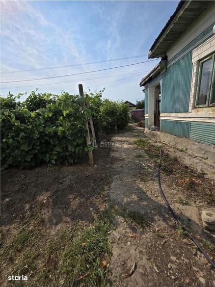 Casă cu 2 camere în Roșioru