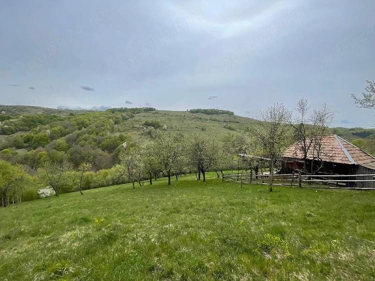 Casă cu Teren 15000 Mp în Bătrâna