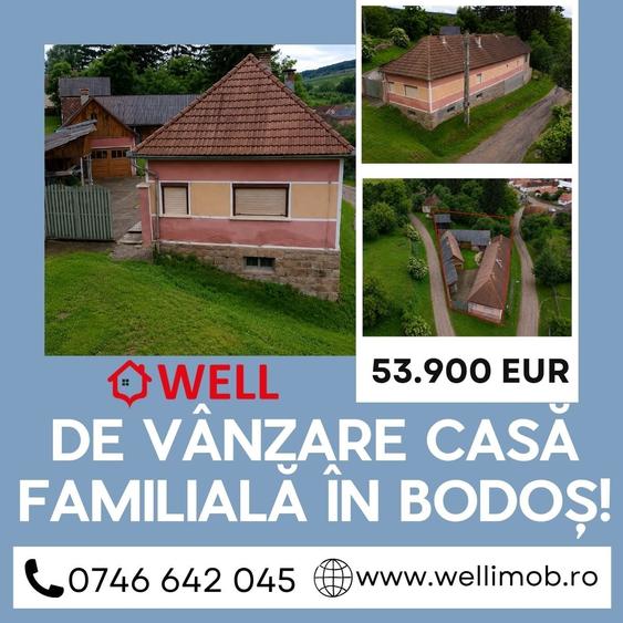 Casă cu 2 camere cu Teren 1048 Mp în Bodoș