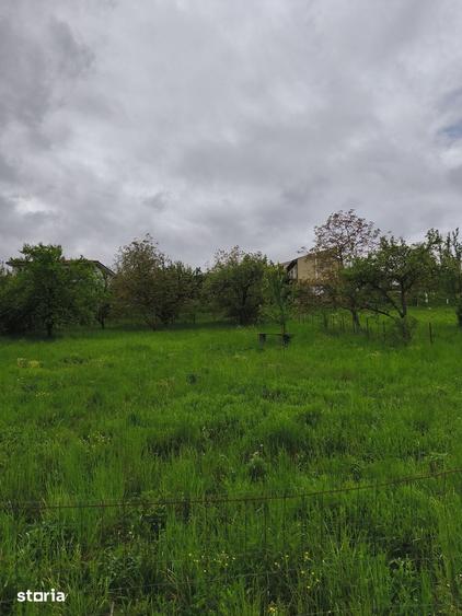 Teren de 950 mp, în Borhanci