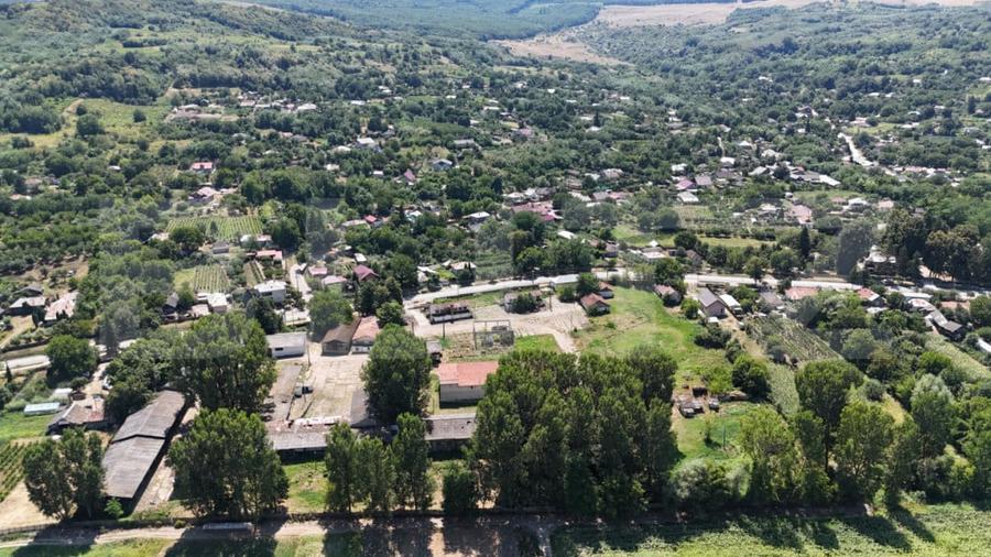 Teren de 32000 mp, în Răducăneni