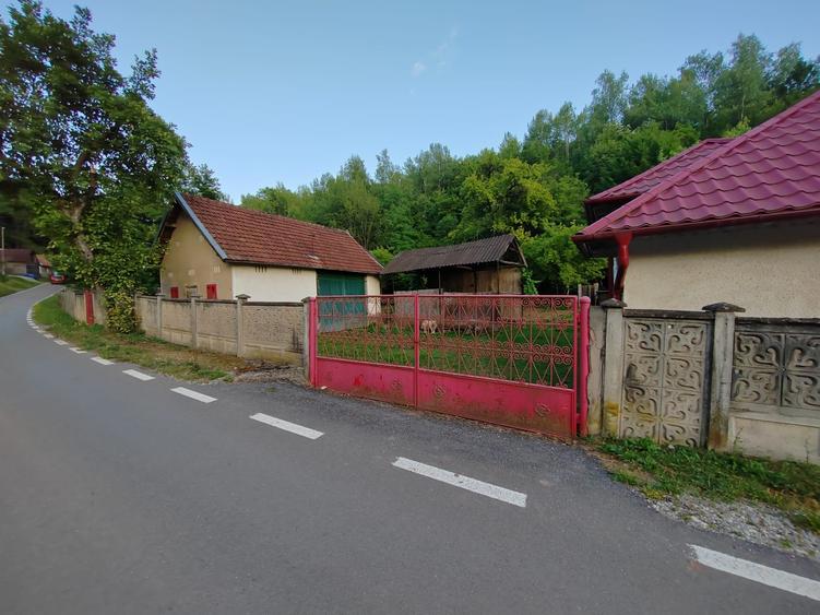Casă individuală cu 4 camere cu Teren 8700 Mp în Băița