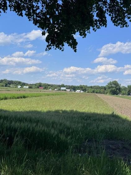 Teren agricol extravilan de 4000 mp, în Frătăuții Vechi